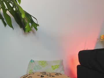 julieta 333
