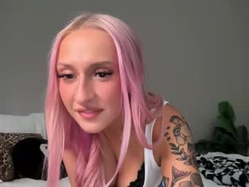 stellacorbet